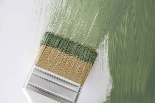 Best Real Estate Mold Inspection  in Colquitt, GA