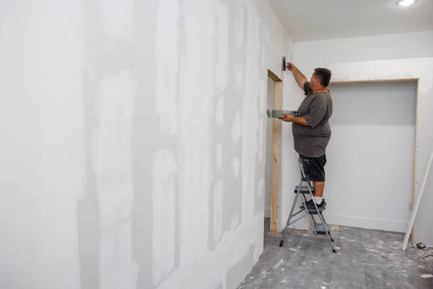 Best Mold Remediation for Healthcare Facilities  in Colquitt, GA
