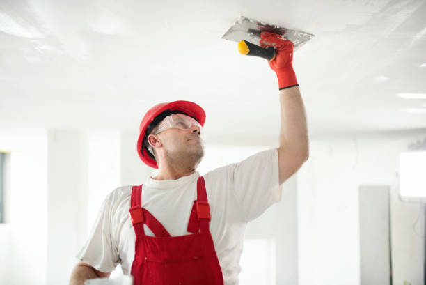 Best Emergency Mold Remediation  in Colquitt, GA