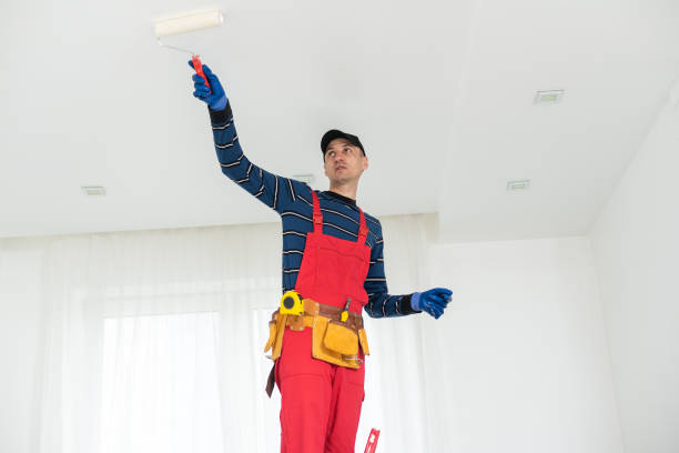 Best Mold Prevention Services  in Colquitt, GA