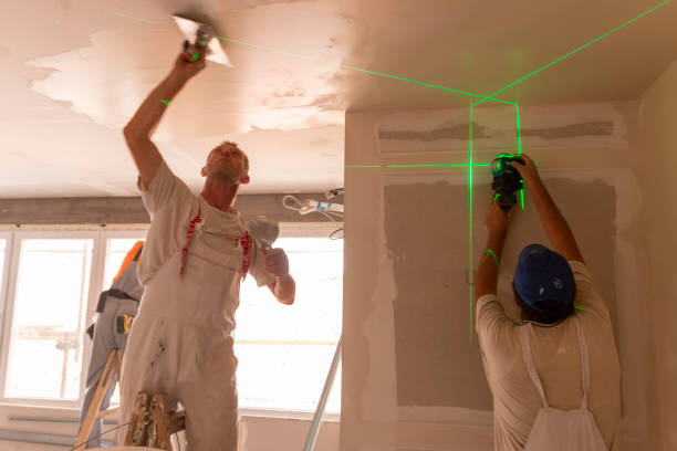 Best Mold Damage Restoration  in Colquitt, GA