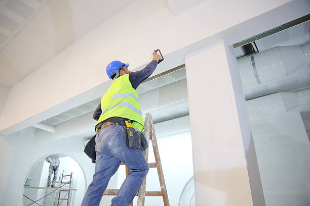 Best Forensic Mold Investigation  in Colquitt, GA